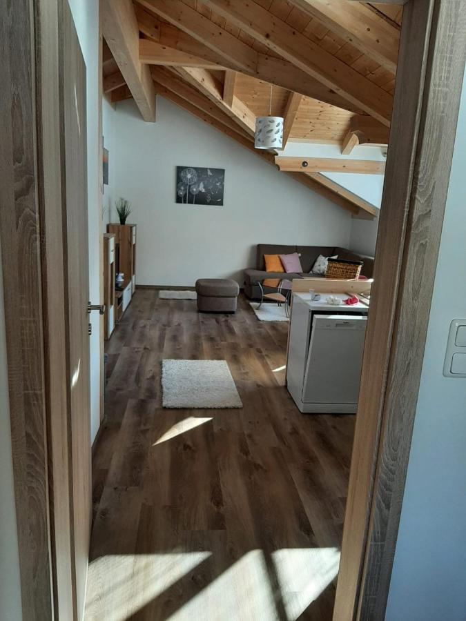 Ferienwohnung Leni 알타우시 외부 사진